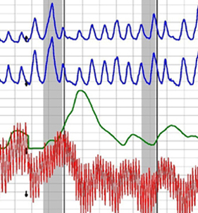 polygraph test in Los Angeles spectrum polygraphs